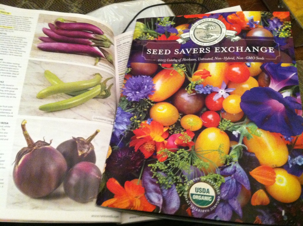 Seed Catalogs